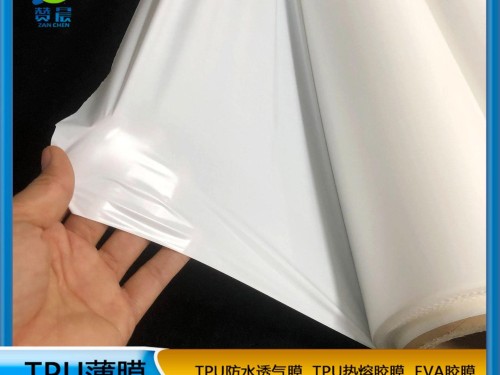 tpu乳白色防水透氣薄膜 TPU功能薄膜可定制   ZC